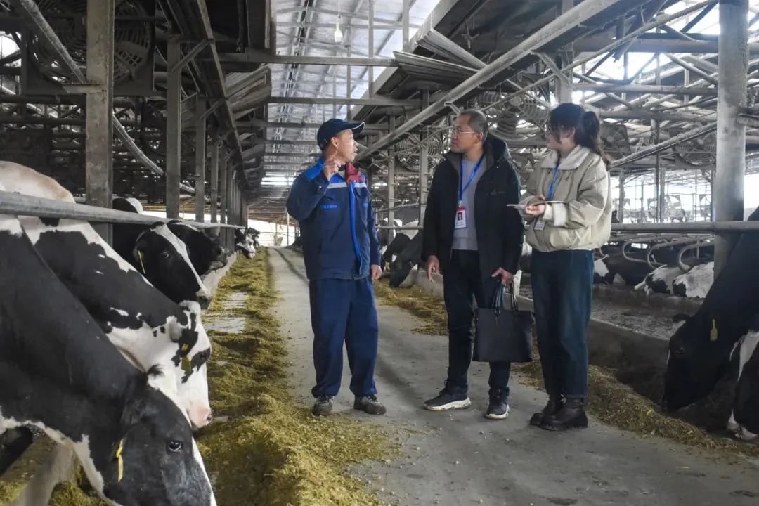 聚焦全会•学习贯彻丨南平：一以贯之推进全面从严治党 为奋力推进 中国式现代化南平实践清障护航